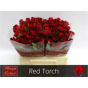 náhled RK-RUŽE VH RED TORCH 40
