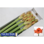 náhled RK AMARYLLIS SALMON