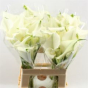 náhled RK CALLA CRYSTAL BLUSH