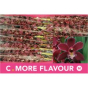 náhled RK CYMBIDIUM 10 HNĚDÉ