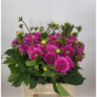 náhled RK DAHLIA PP PURPLE