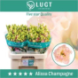 náhled RK EUSTOMA ALLISA CHAMPANGE