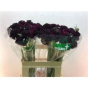 náhled RK SCABIOSA PURPLE