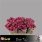 náhled R TR ONE TOP