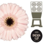 náhled RK GERBERA MINI SVĚTLE RŽOVÁ TMAVÝ STŘED