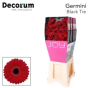 náhled RK GERBERA MINI BORDO