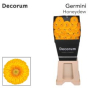 náhled RK GERBERA MINI PON PON ŽLUTÁ