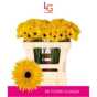 náhled RK GERBERA MINI SPIDER ŽLUTÁ