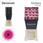 náhled RK GERBERA RŮŽOVO BÍLÁ