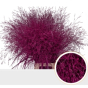 náhled RK PANICUM BARVA CERISE