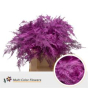 náhled RK ZELEN PLUMOSUS 45CM BARVA CERISE