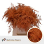 náhled RK ZELEN PLUMOSUS 45CM BARVA ORANŽOVÁ