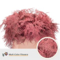 náhled RK ZELEN PLUMOSUS 45CM BARVA KORÁLOVÁ