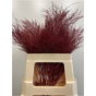 náhled RK ZELEN TREE FERN BARVA BORDO