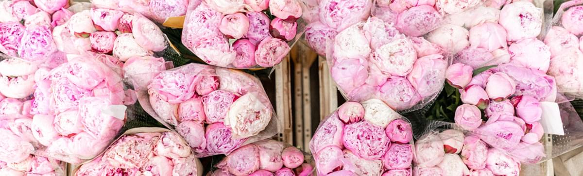 Čerstvé květinykaždý den